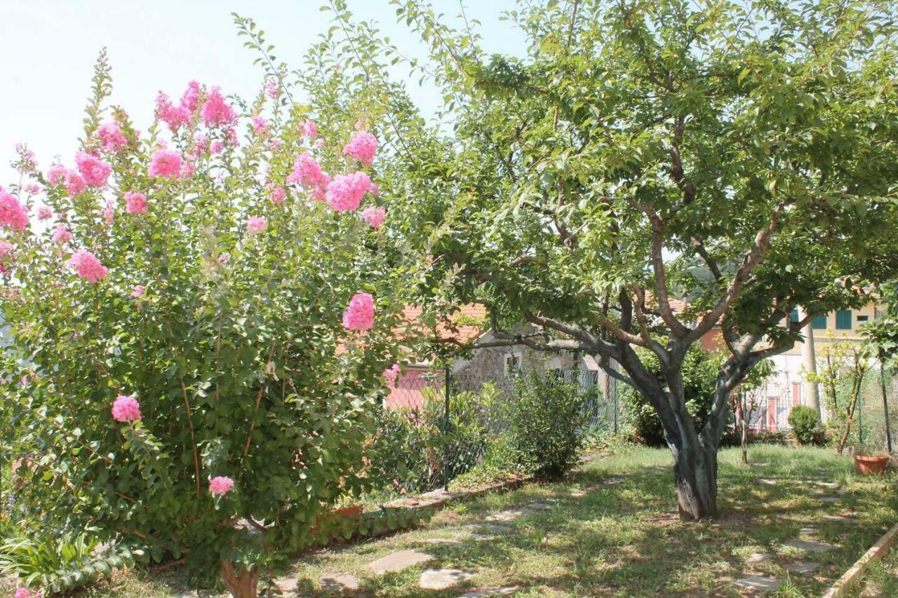 La Casetta Di Graziella Διαμέρισμα Vezzi Portio Εξωτερικό φωτογραφία